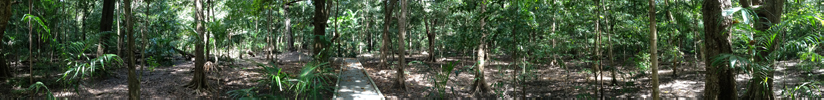 Mataranka Hot Springs